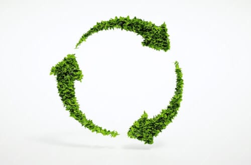 Insegne ecosostenibili: una grande collezione di insegne di alta qualità per promuovere lo sviluppo sostenibile".
